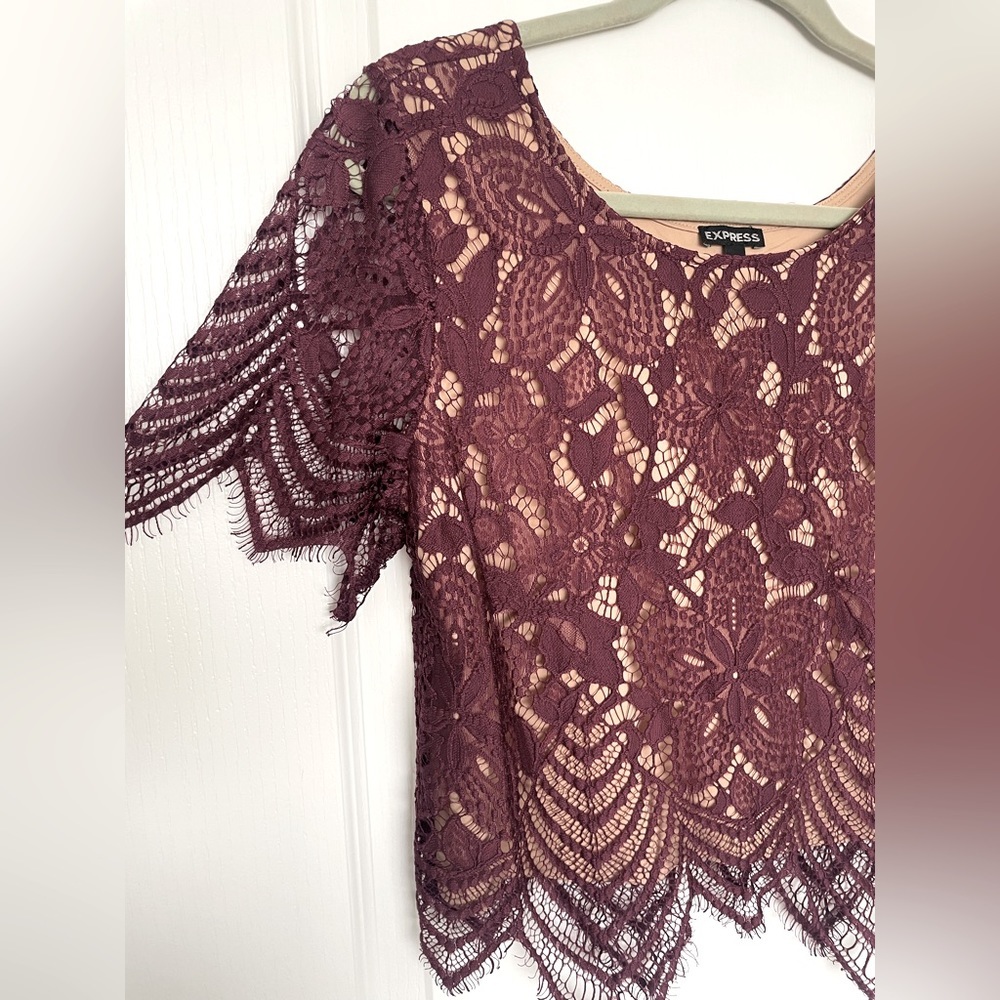 EXPRESS maroon lace short sleeve lace cropped top with nude lining Size Medium - Picture 3 of 12